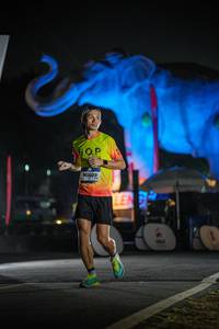 BIB: 
                            <button type="button" onclick="openModal(26531305)" class="btn btn-primary btn-sm float-right btn-popup" data-toggle="modal" data-target=".modal-high-quality">
                        <i class="fas fa-shopping-cart"></i> Add to Cart
                    </button>
                                            <button type="button" onclick="isThisMe(26531305, true)" class="btn btn-success btn-sm float-right btn-popup btn-isme hidden" data-toggle="tooltip" data-placement="bottom" title="นี่คือรูปของคุณใช่ไหม คลิกที่นี่เพื่อเอาเข้าอัลบั้ม">
                        <i class="fas fa-plus"></i> Add to album
                    </button>
                    <button type="button" onclick="isThisMe(26531305, false)" class="btn btn-warning btn-sm float-right btn-popup btn-isnotme hidden">
                        <i class="fas fa-ban"></i> Remove from album
                    </button>